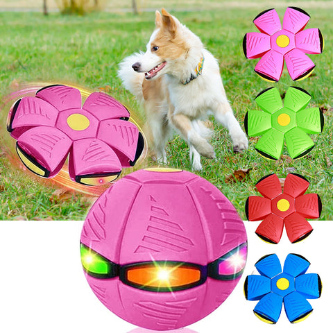 Flygande tefat-boll för hundar med ljus