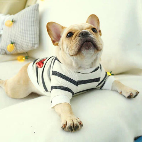 Randig hund-t-shirt med hjärtmönster